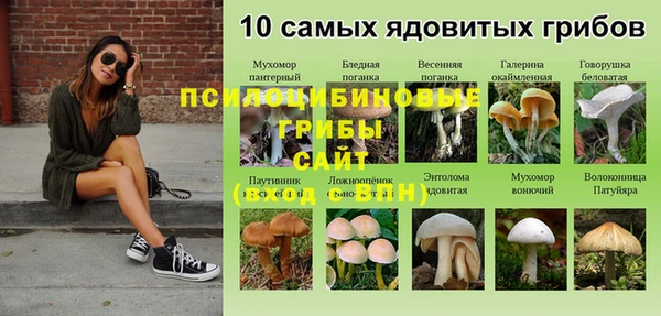 гидра Алексеевка