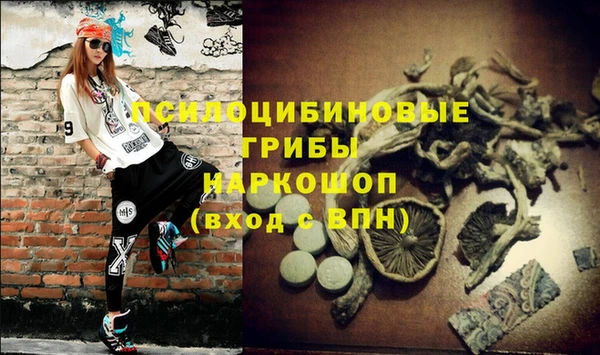 гидра Алексеевка
