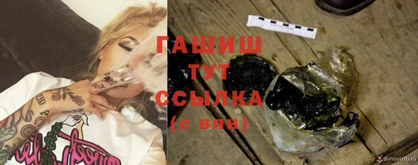 гидра Алексеевка